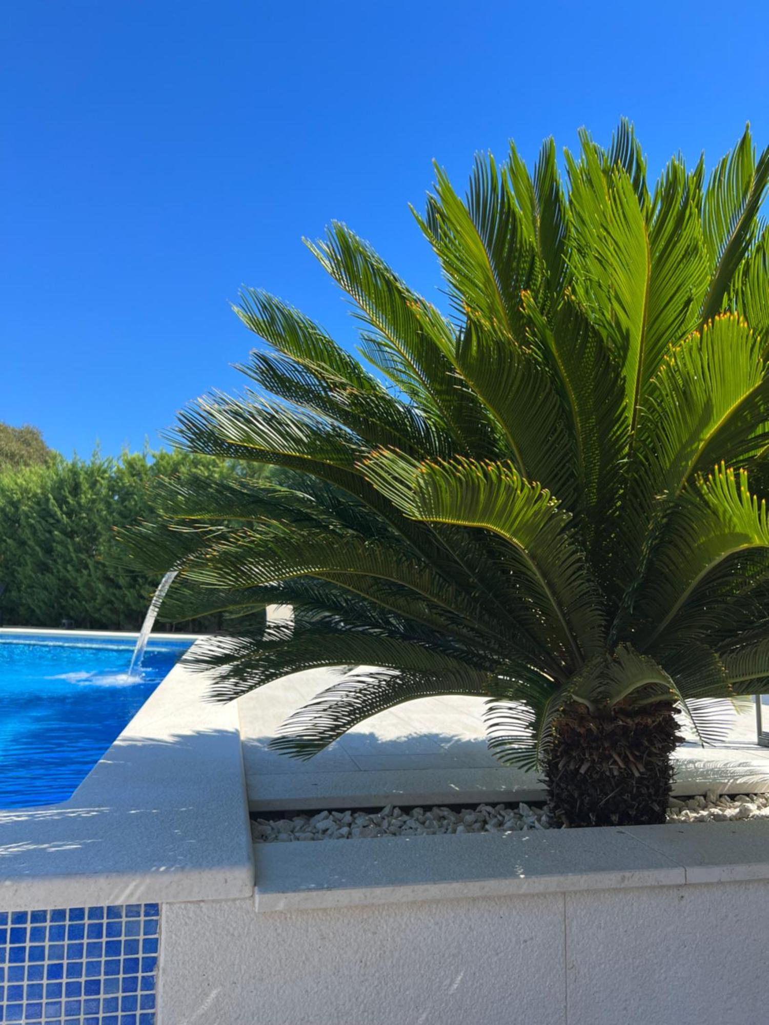 Vila Luxury Sundance Trogir
